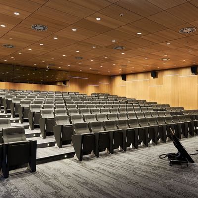 Panel acústico micro perforado Sistema de techo de absorción de sonido y decoración